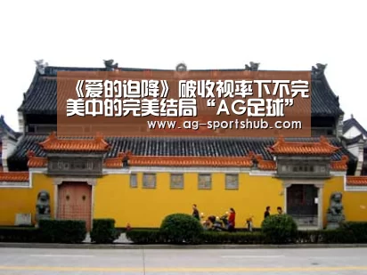 《爱的迫降》破收视率下不完美中的完美结局“AG足球”(图1) AG足球