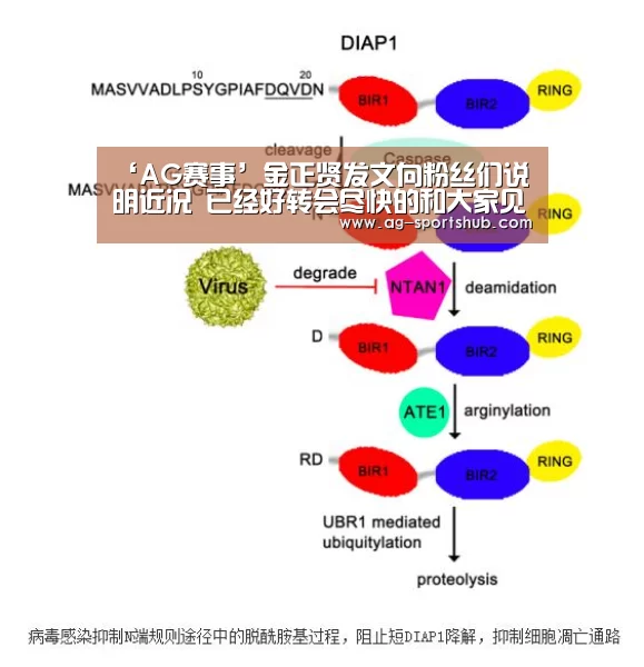 AG足球