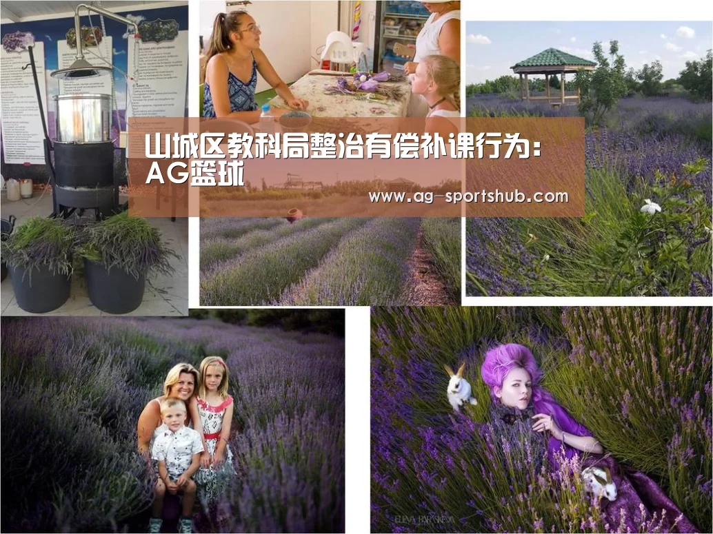 山城区教科局整治有偿补课行为:AG篮球(图2) AG赛事