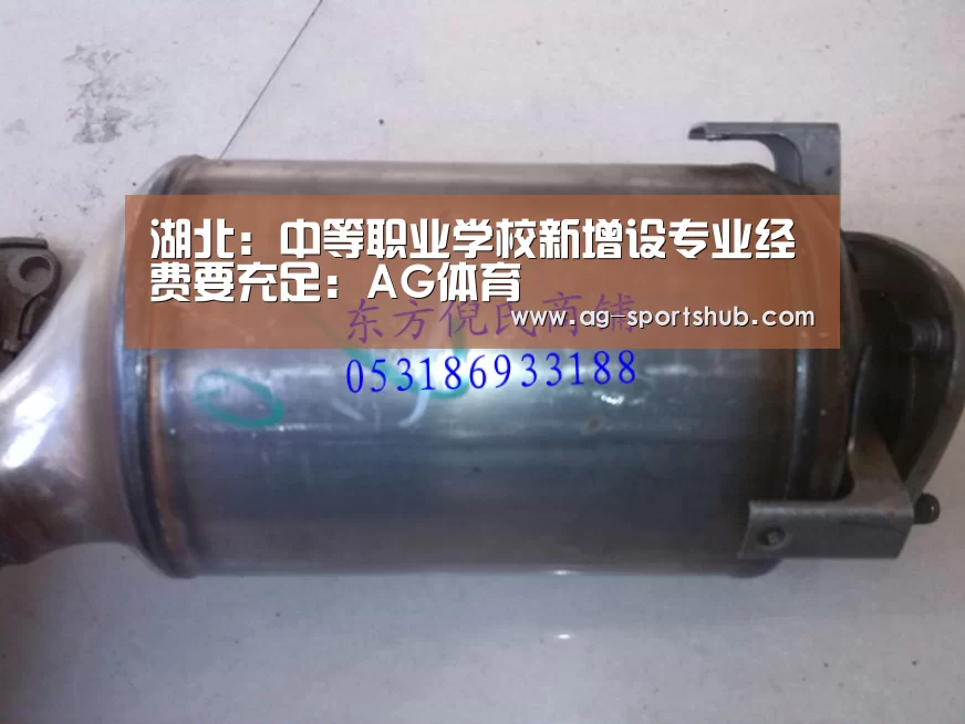 湖北:中等职业学校新增设专业经费要充足:AG体育(图3) AG体育